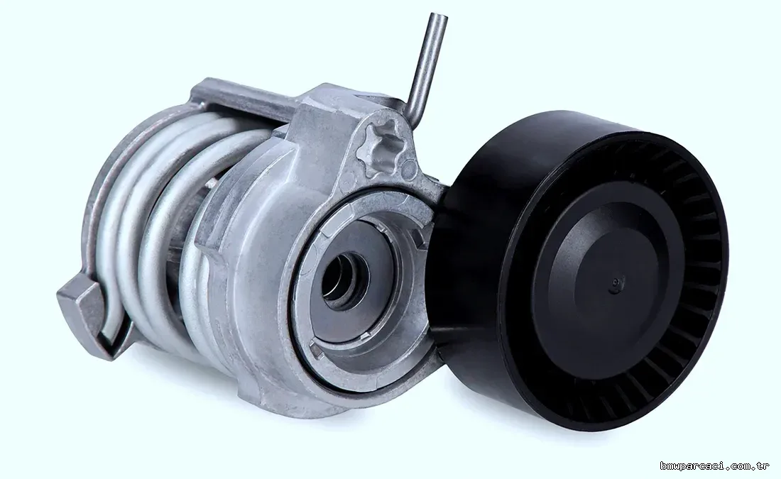 INA 534070810 | BMW E81/E87/E90/E46/E60/X1/X3 N40-N46 Kayış Gergi Kütüğü - INA - INA.534070810