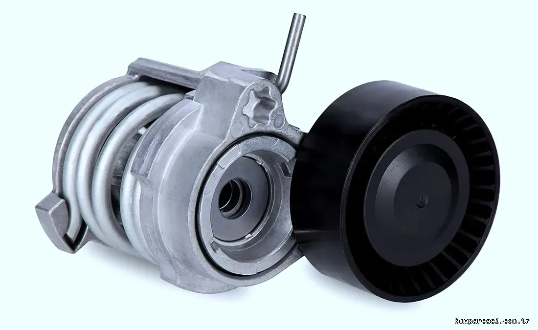 INA 534070810 | BMW E81/E87/E90/E46/E60/X1/X3 N40-N46 Kayış Gergi Kütüğü - INA - INA.534070810 ,5