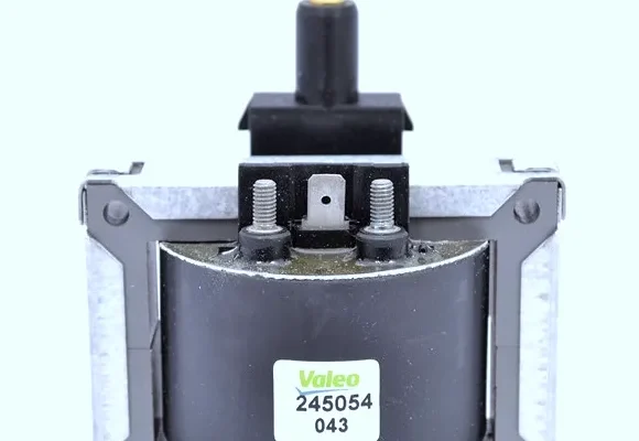 VALEO Bobin Beyni 245054