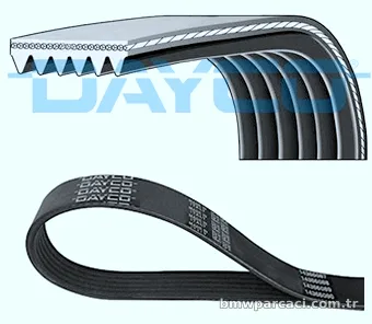 DAYCO 6PK1173 V Kayışı - DAYCO - 6PK1173