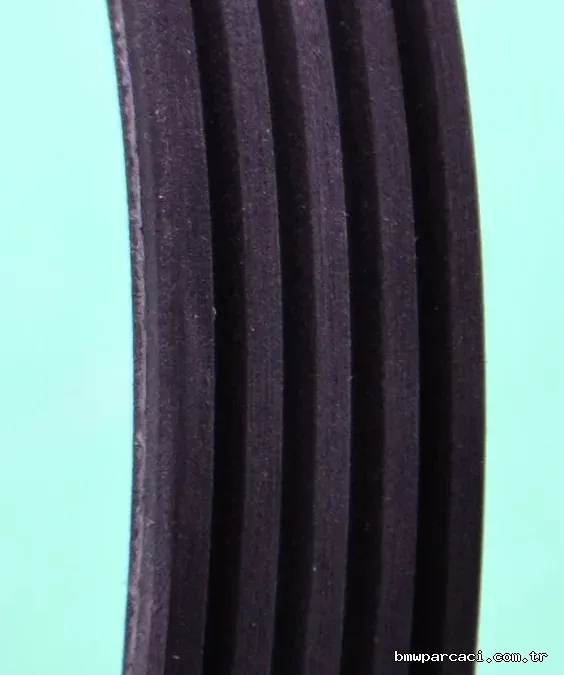 DAYCO Vantilatör Kayışı 5PK1800 - DAYCO