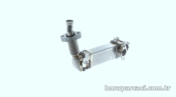 MAHLE CE21000P Egr Valfi - MAHLE - CE21000P