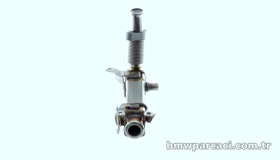 MAHLE CE21000P Egr Valfi - MAHLE - CE21000P