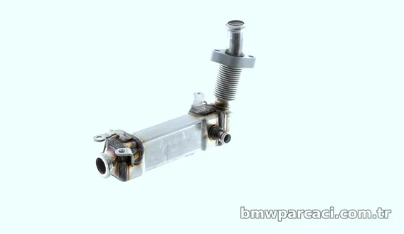 MAHLE CE21000P Egr Valfi - MAHLE - CE21000P