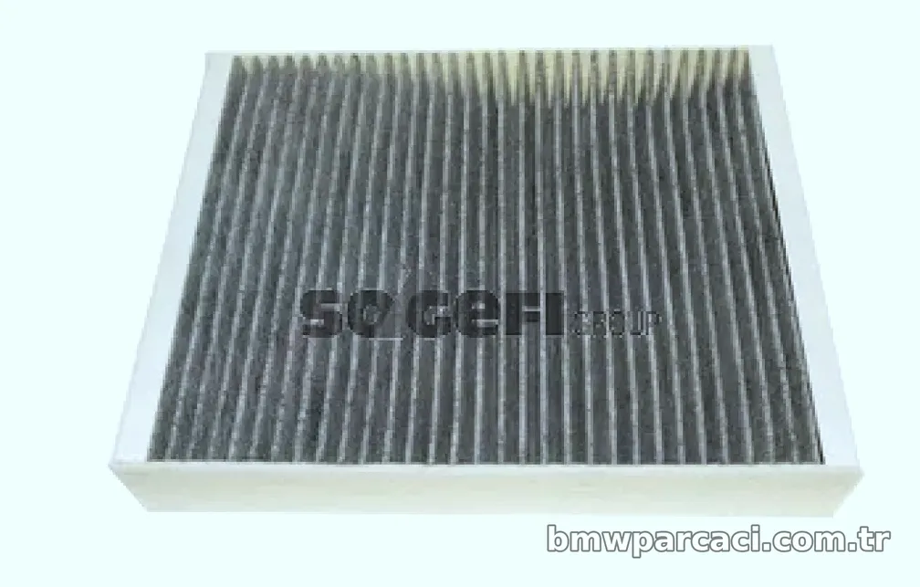 POLEN FILTRESI BMW F20 F30 KARBONLU - Purflux - PURFLUX AHC373