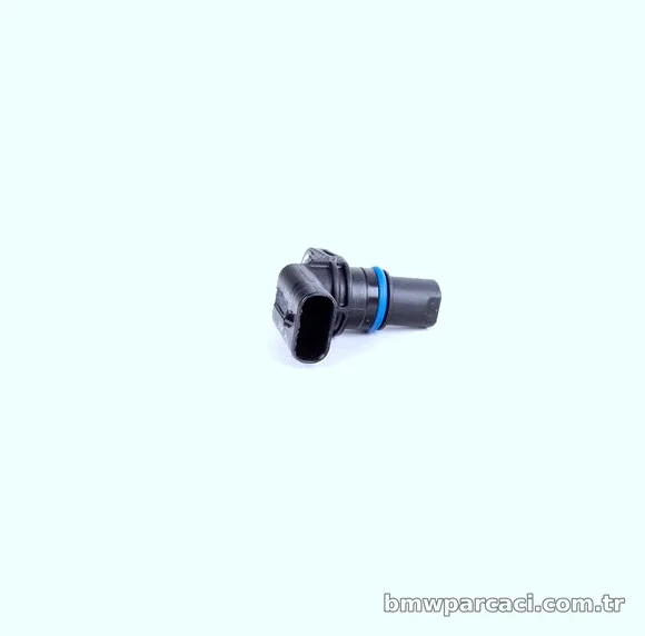 RAM Eksantrik Sensörü 99051786201 - RAM